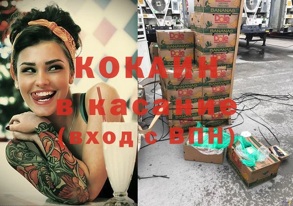 стаф Майский