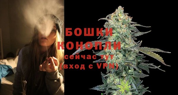 стаф Майский