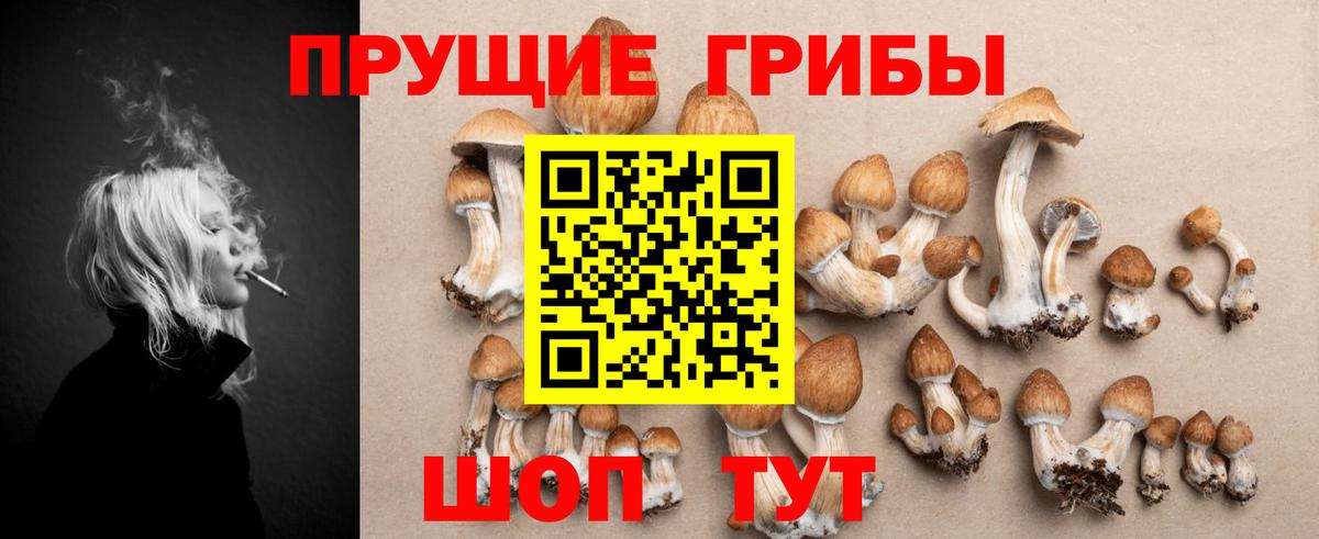 Галлюциногенные грибы Cubensis  Вход с VPN  Топки  Галлюциногенные грибы прущие грибы 