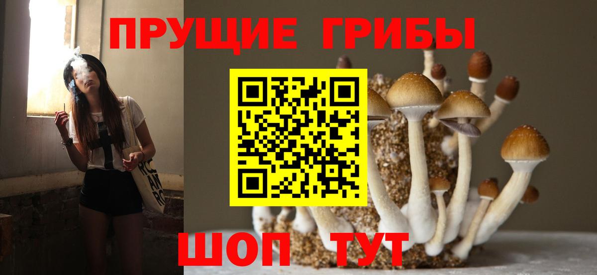 Галлюциногенные грибы Cubensis Топки